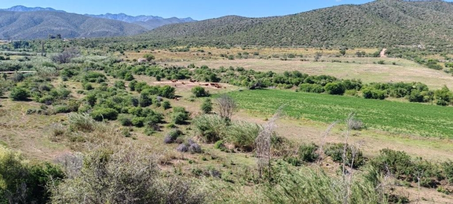 0 Bedroom Property for Sale in Oudtshoorn Rural Western Cape